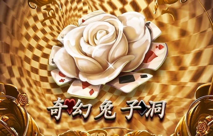 ror体育app官网入口